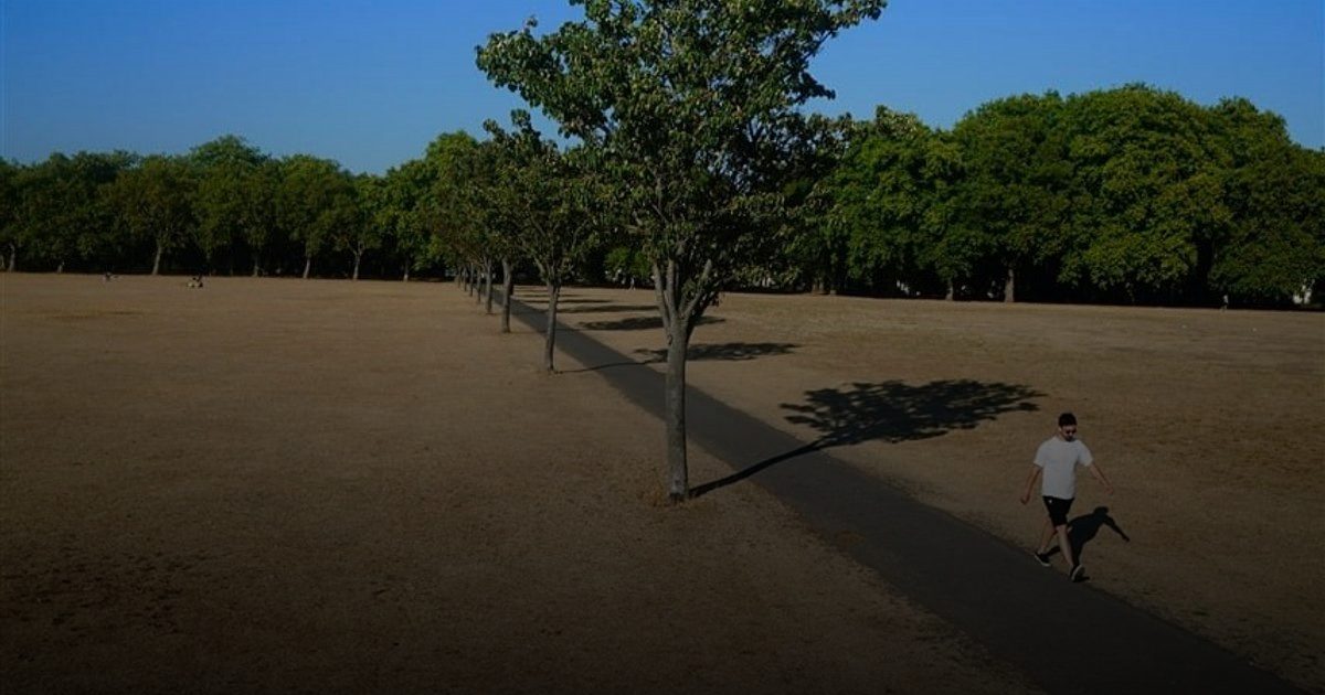 موجة الحر في بريطانيا قد تودي بحياة 600 شخص