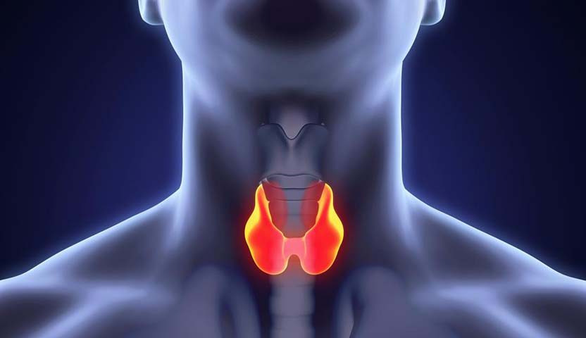 نصائح مذهلة لضمان حمل صحي عبر تنظيم هرمون الغدة