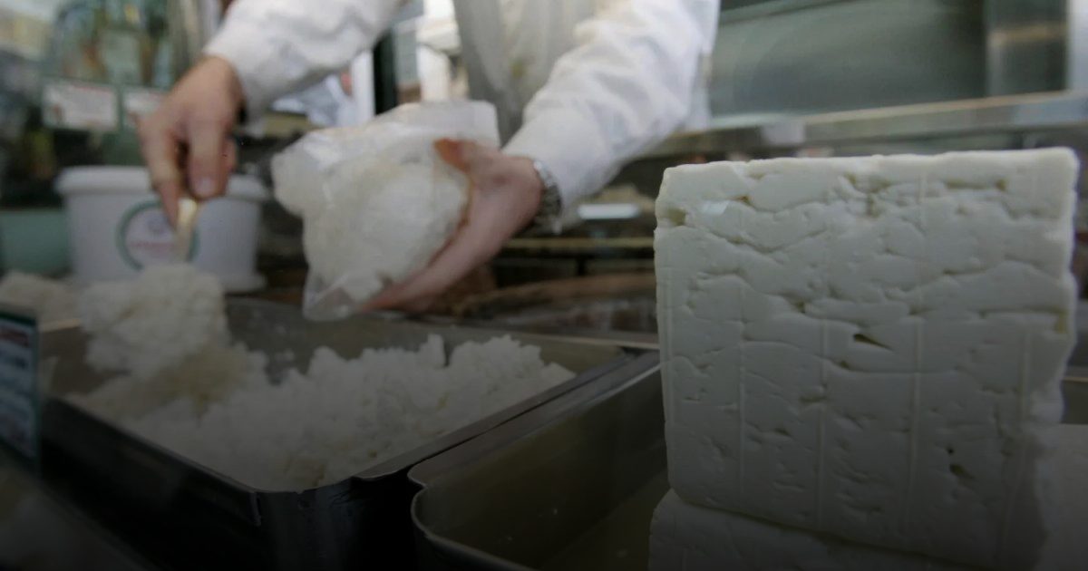 دراسة سويدية: الجبن كامل الدسم قد يقلل خطر الإصابة بالخرف بنسبة 13%