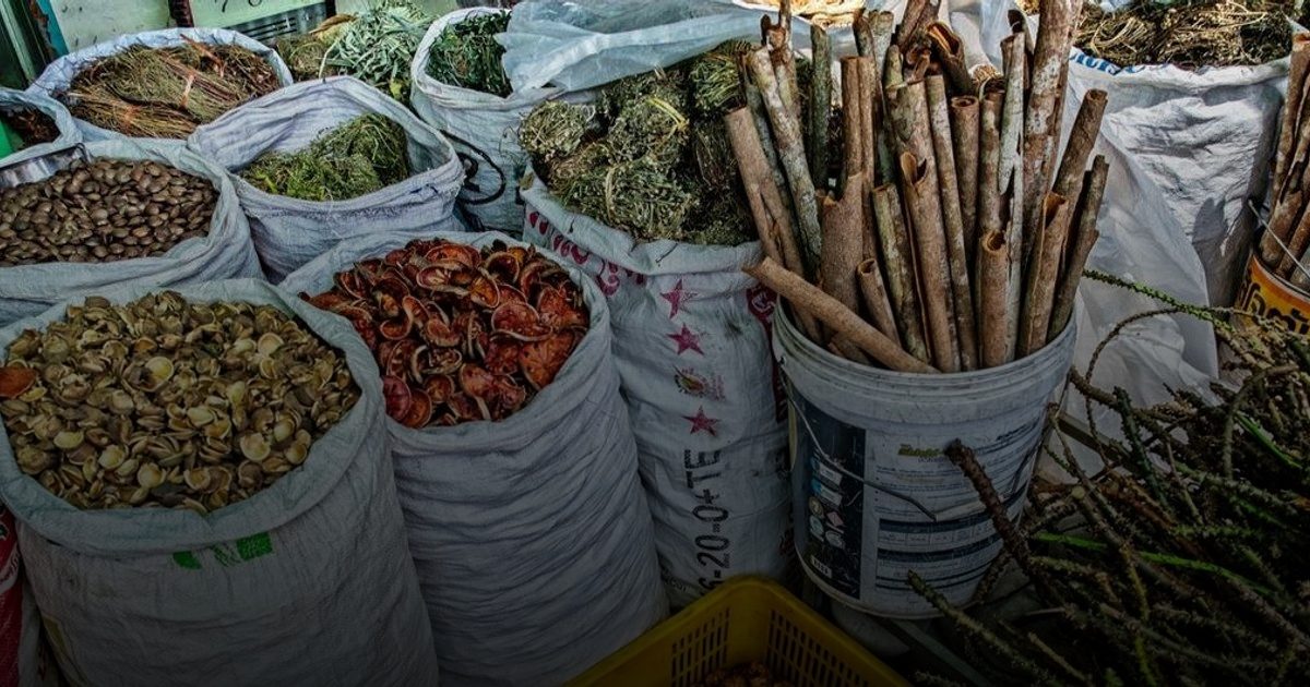 الصحة العالمية: 90% من الدول الأعضاء تعتمد على الطب التقليدي