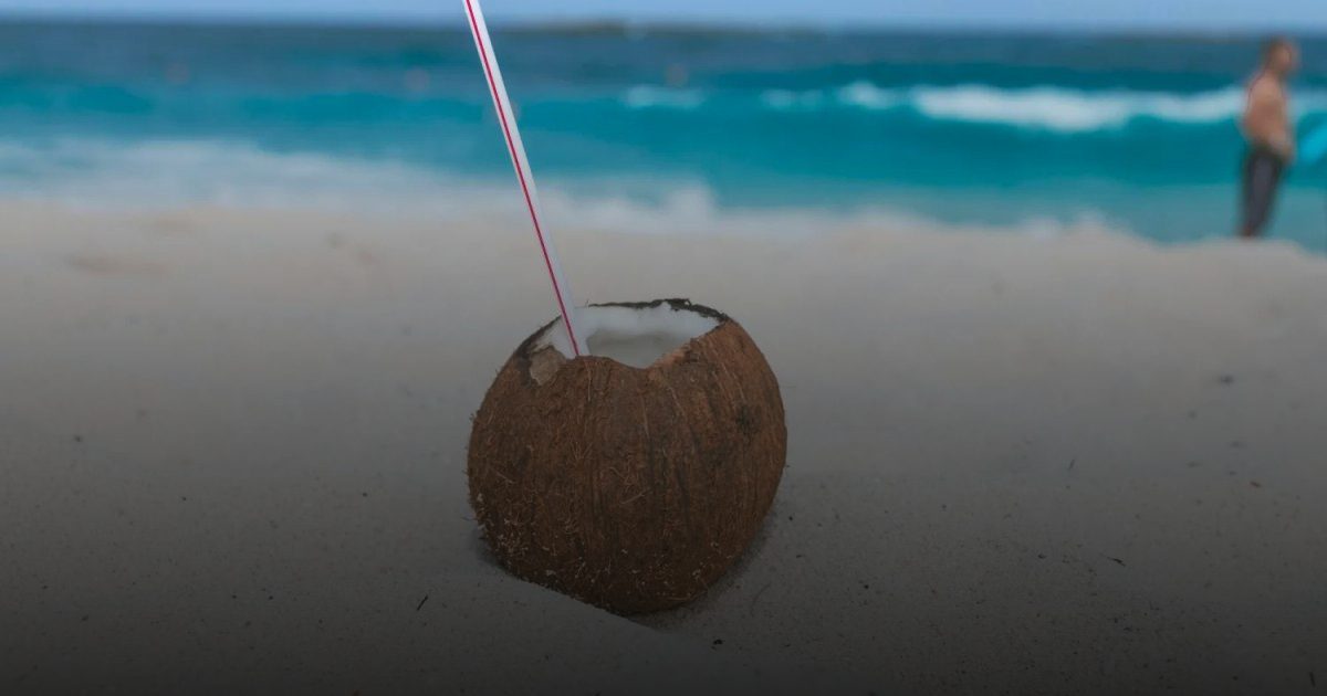 ماء جوز الهند ليس مناسبًا للجميع.. فئات يجب أن تمتنع عنه