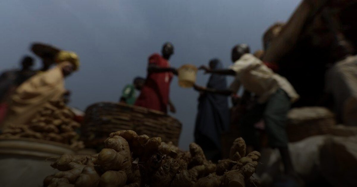 الزنجبيل يعود إلى الواجهة كعلاج طبيعي داعم لصحة القلب