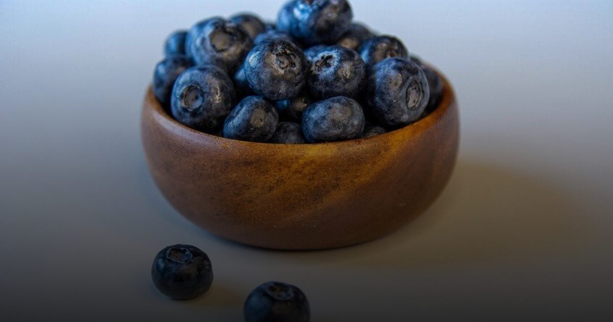 إكسير الشباب في أوراق التوت.. دراسة تكشف سلاحاً طبيعياً ضد الشيخوخة