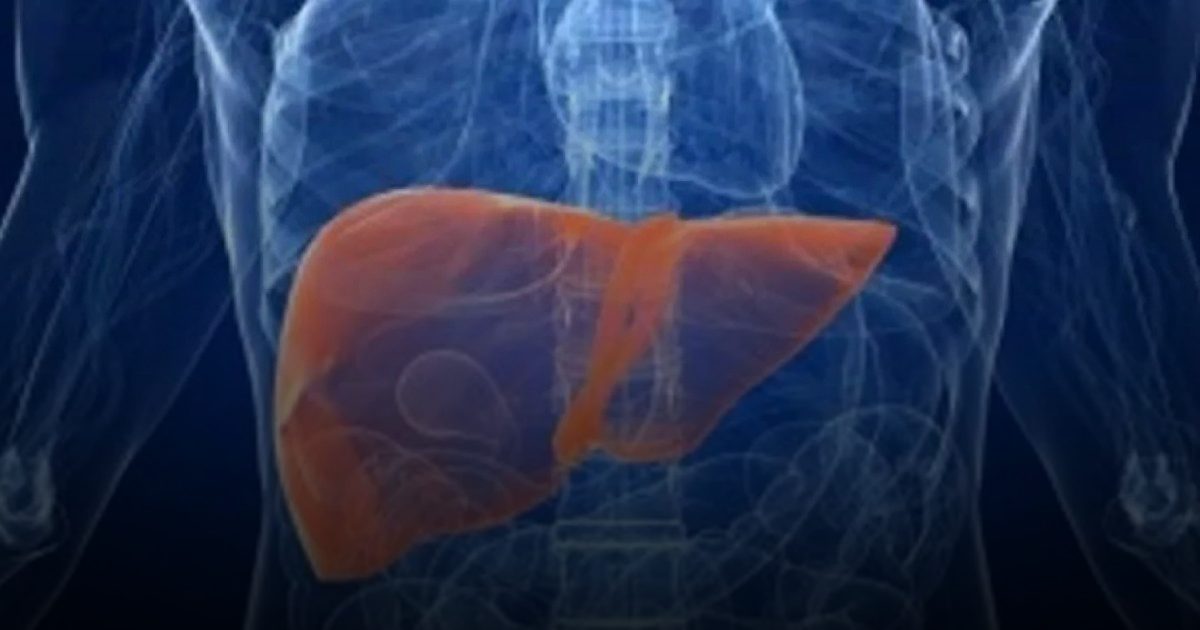 القهوة وتقليل السكر...عادات يومية تحمي الكبد