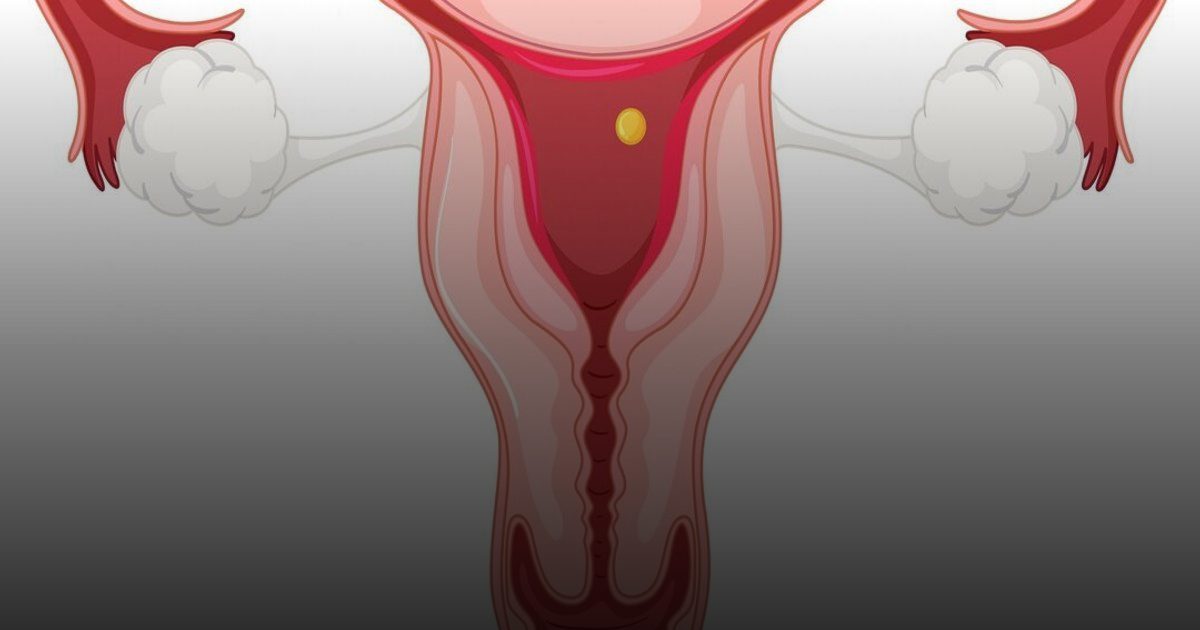 دليل الأمومة الواعية.. مختصون يحسمون الجدل حول "الرحم المقلوب" ومخاطر كسل الغدة