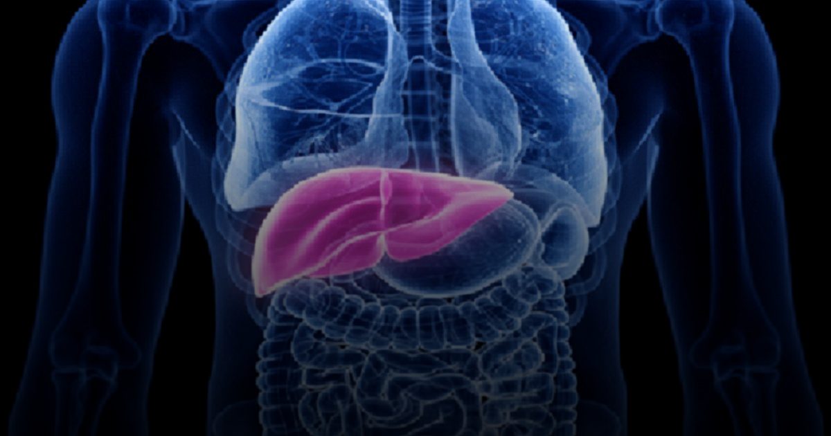 تحذير: تلف الكبد يبدأ بصمت.. 5 علامات في البول قد تنقذ حياتك من الفشل الكبدي
