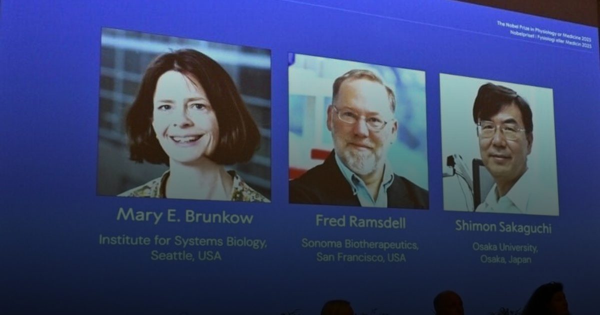 بسبب "الخلايا التائية" .. جائزة نوبل في الطب 2025 تذهب لـ 3 علماء من أمريكا واليابان