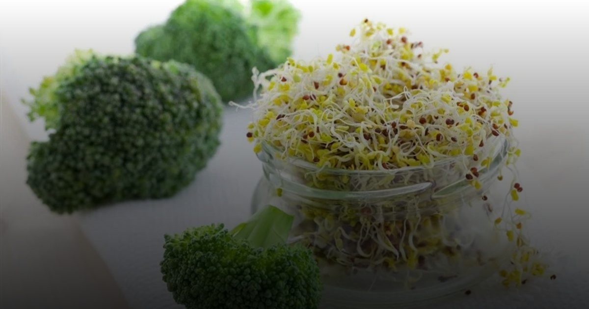 البروكلي يقلل خطر الإصابة بسرطان القولون