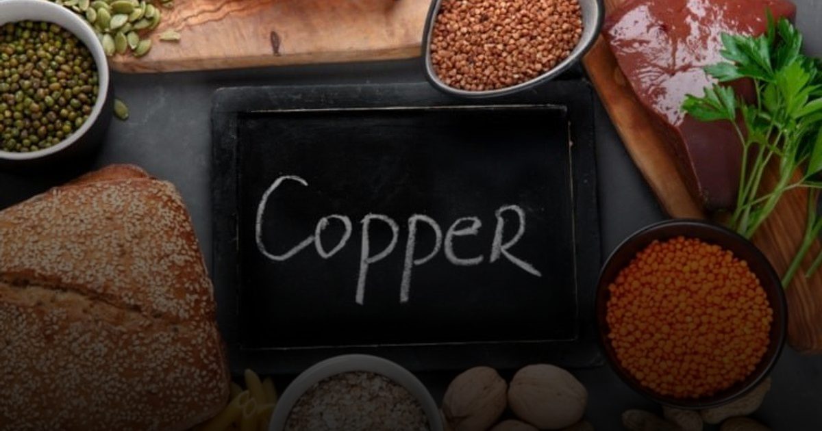أطعمة النحاس.. أداة فعالة في مكافحة ضعف الذاكرة