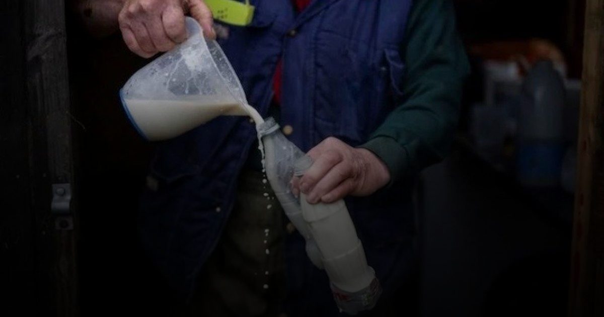 انتقال السل من الحليب في المغرب .. مخاوف تشعل الأوساط الصحية