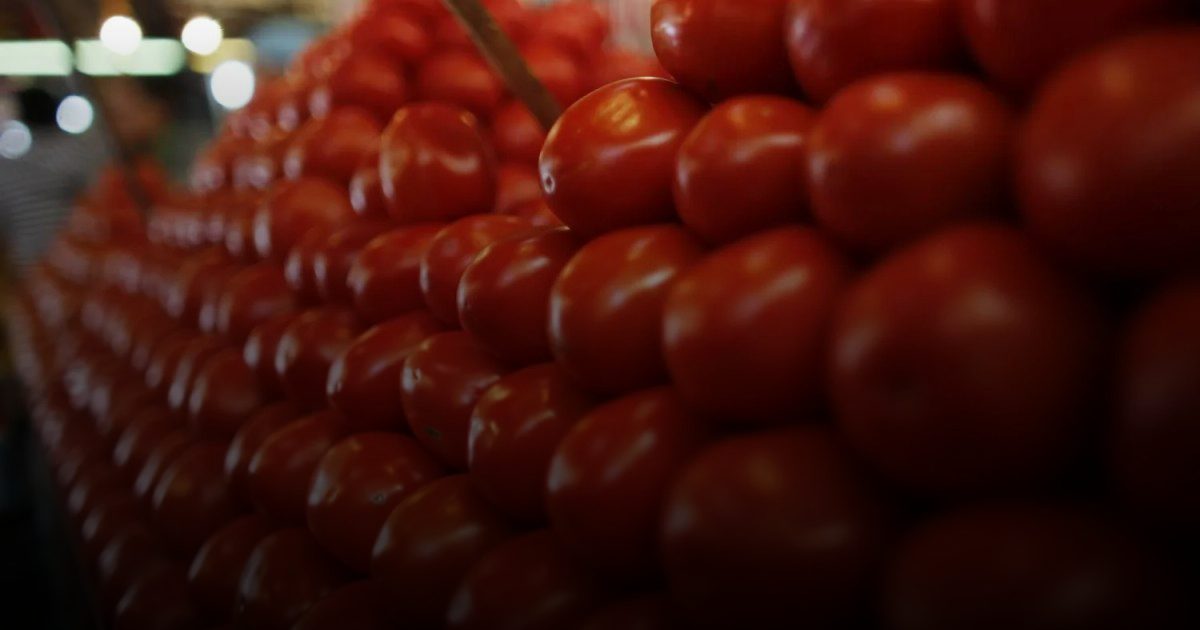 الليسكوبين سر الوقاية: الطماطم تخفض خطر الإصابة بسرطان البروستاتا بنسبة تصل إلى 50%