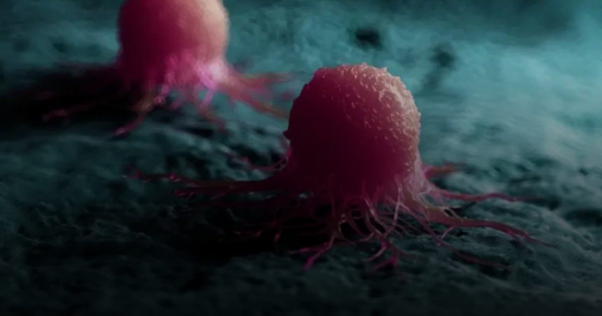 لقاح السل .. يعيد برمجة "نخاع العظم" ويعالج سرطان المثانة