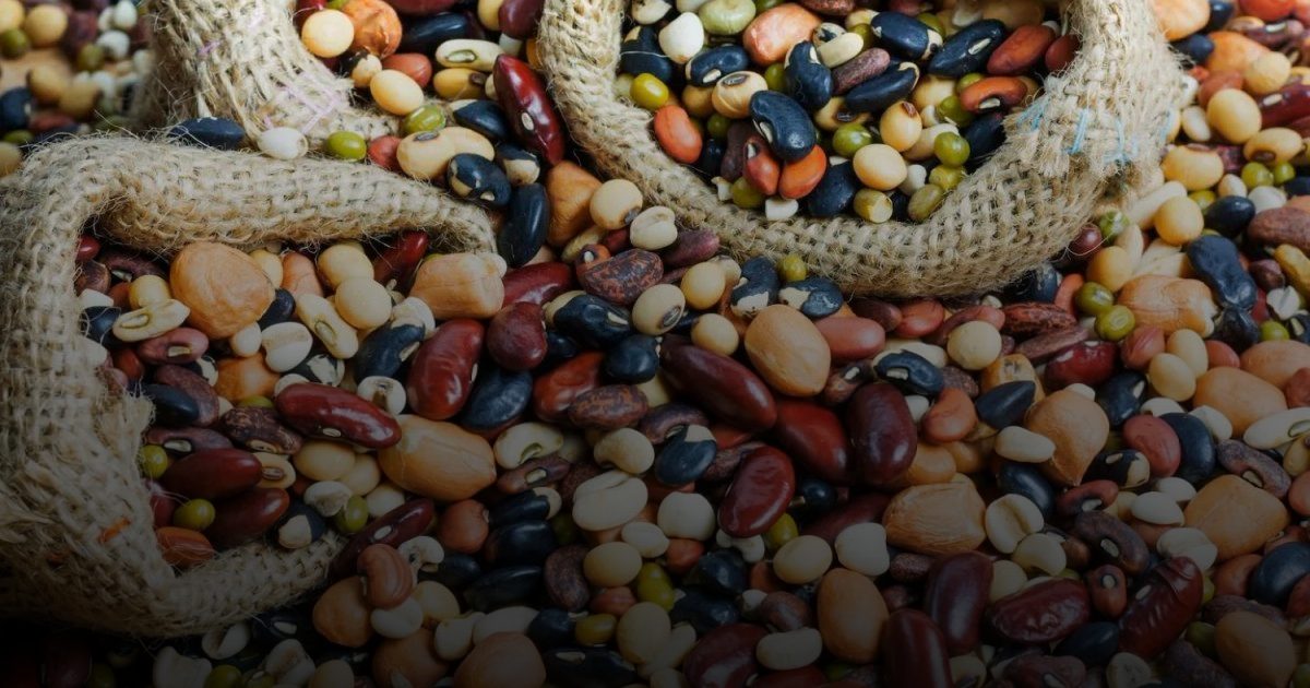 دراسة: البقوليات تحسّن صحة الرجال بعكس اللحوم
