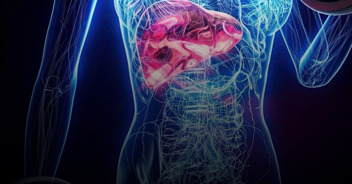 دراسة روسية: تليف الكبد يغير بنية القلب ويزيد من مخاطر الوفاة