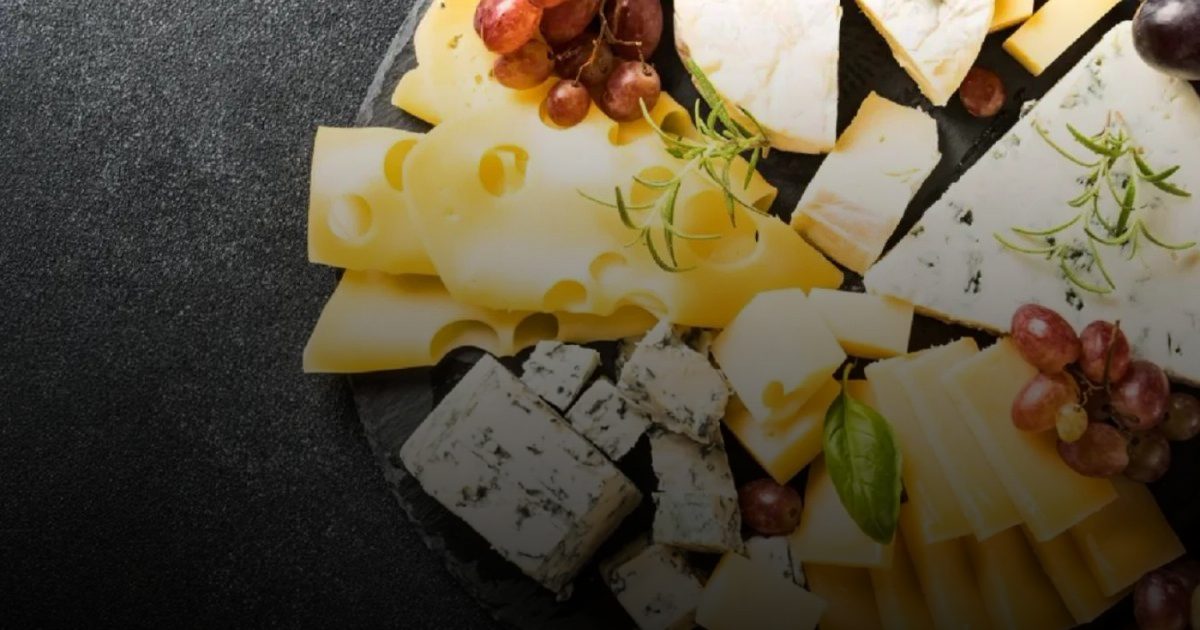 معلومة في كبسولة: الجبن كامل الدسم وصحة الدماغ