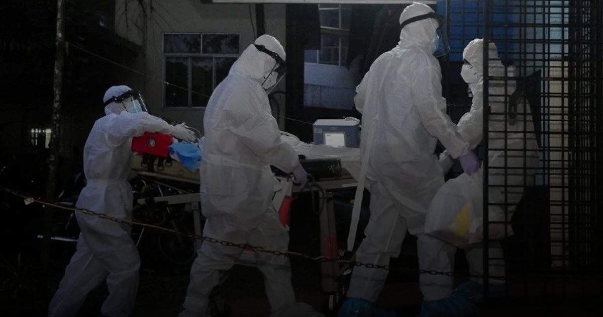 فيروس الخفافيش يقتل فتاة هندية.. والقلق يتصاعد من الوباء القادم