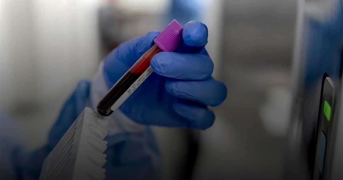 حين تتحدث قطرة الدم: اختبار جديد يمنح "بصيرة" التنبؤ بأمراض القلب الوراثية