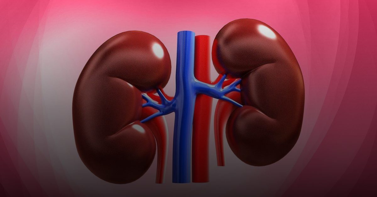 مرض الكلى المزمن يُهدد 800 مليون شخص عالمياً.. علامات تحذيرية يجب الانتباه لها