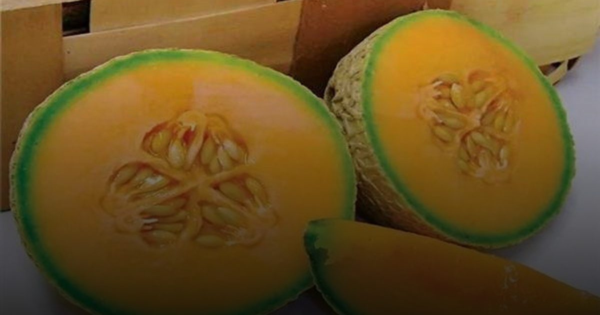 تقوية العظام والمناعة ودعم صحة العين .. فوائد تناول بذور فاكهة الشمام