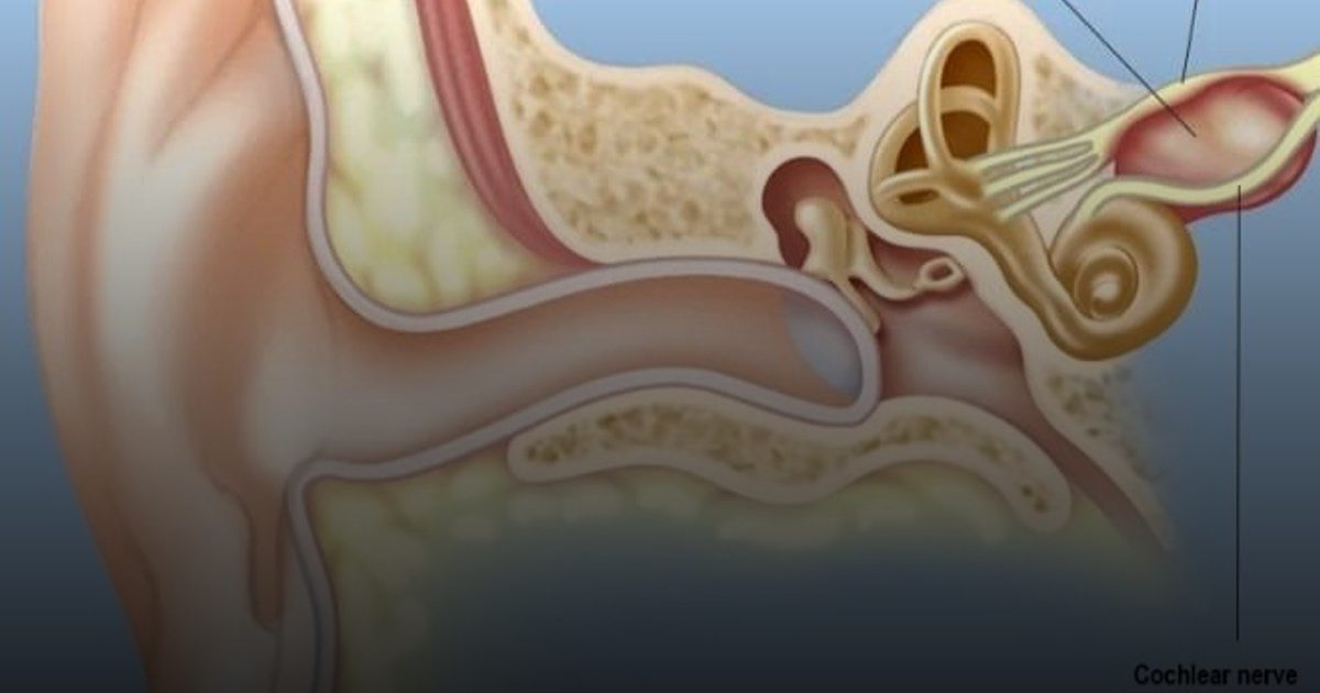 القلق والدوار.. مؤشر نفسي يحذر من "الورم الصوتي" الدماغي