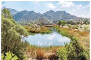 4 ملايين وفاة سنوياً.. و560 لتراً من المياه استهلاكاً يومياً للفرد الخليجي