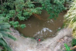 الغرق.. انخفاض عالمي في الوفيات بنسبة 38% والفئات الضعيفة ما زالت تواجه الخطر