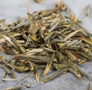 “لحاء الصفصاف: دواء طبيعي يواجه الفيروسات ويكافح نزلات البرد والإنفلونزا!”