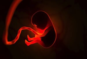 “فيرتيلو” ثورة جديدة في عالم التلقيح الصناعي