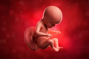 أطباء يعثرون على جنينين في بطن جنين برحم أمه