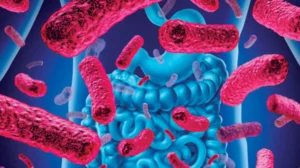 بكتيريا الفم والأمعاء تزيد من خطر الإصابة بسكتة دماغية