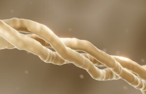 علماء يتوصلون لاكتشاف يساعد في فك شفرة الأنسجة الدهنية