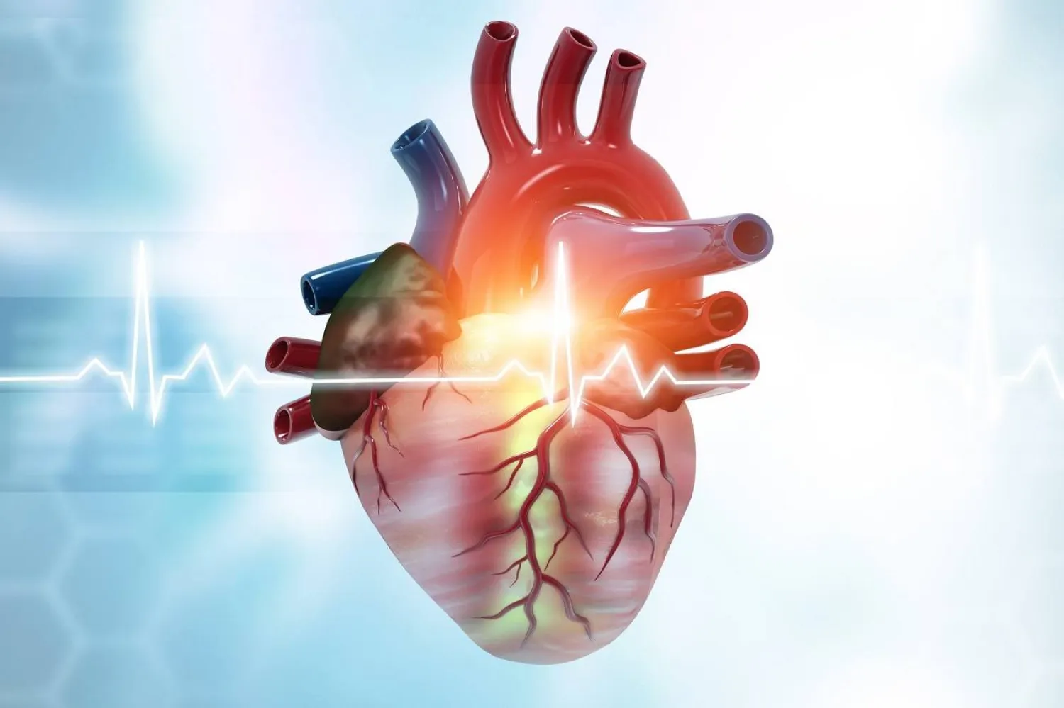 نصائح لسرعة إنقاذ مرضى الصدمة القلبية 