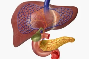 تقنية الطباعة الحيوية ثلاثية الأبعاد قد تشكّل مستقبل علاج مرض السكري