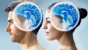دماغ المرأة مقابل دماغ الرجل.. 6 فروقات مذهلة تتحكم في حياتنا