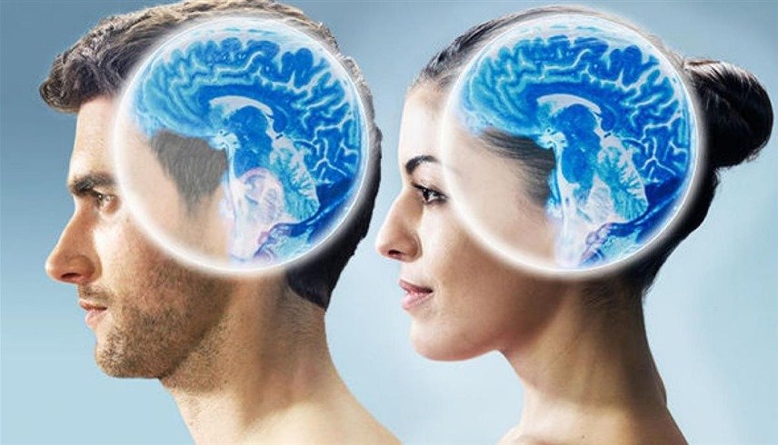 دماغ المرأة مقابل دماغ الرجل.. 6 فروقات مذهلة تتحكم في حياتنا 