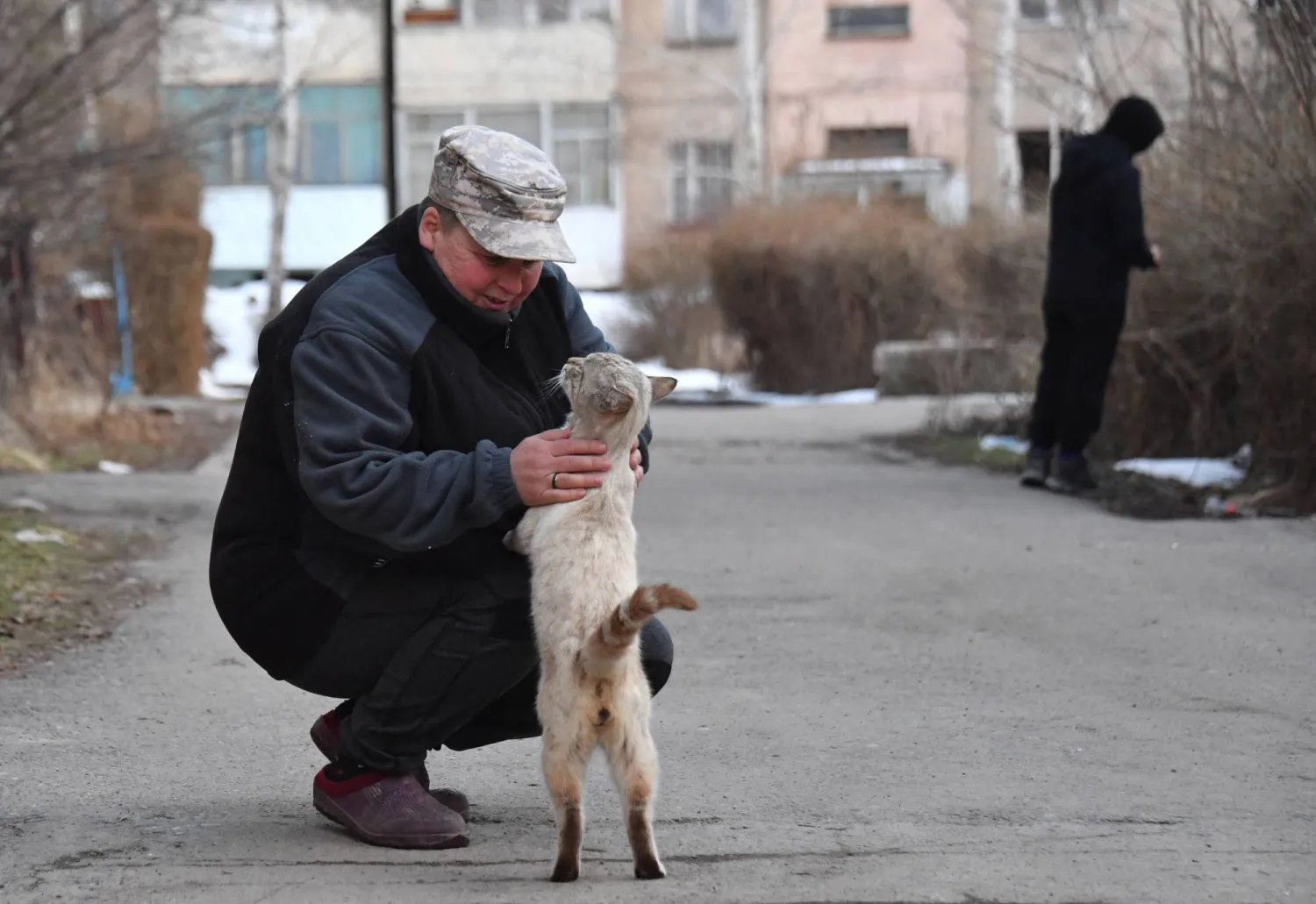 امتلاك حيوان أليف يعزز الصحة النفسية بالقدر نفسه كالزواج 