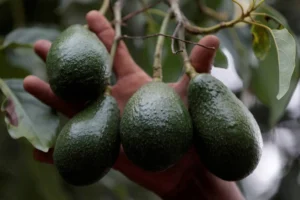  أطعمة في الصباح تساعد على التخلص من التوتر
