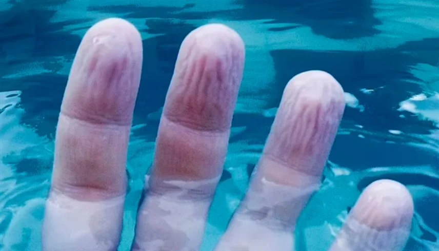 الجهاز العصبي اللاإرادي.. علماء يكتشفون حقيقة غريبة لتجعد الأصابع تحت الماء 