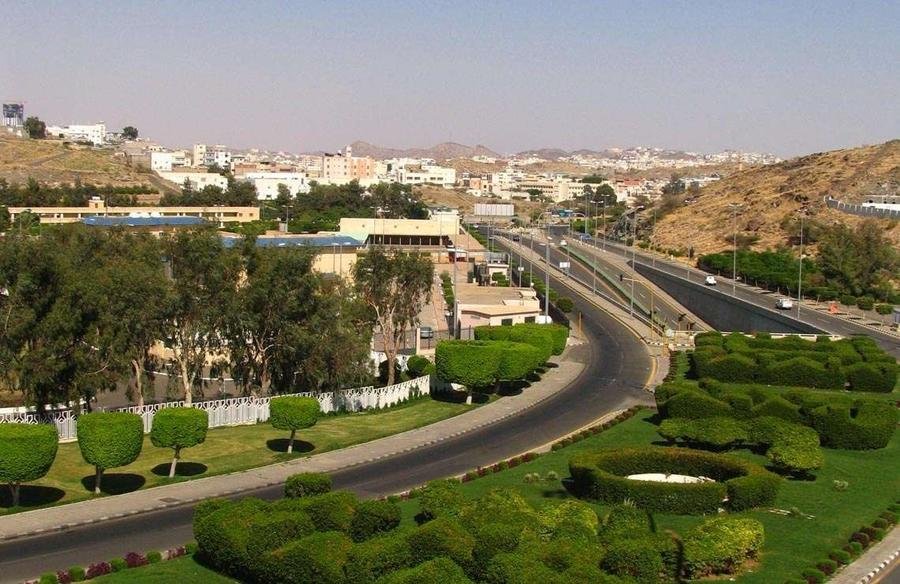  محافظ الطائف يطلع على التقرير الصحي لجمعية أصدقاء المرضى 