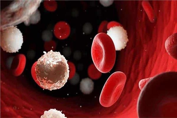 بحلول 2026 شركة روسية تطرح ٣ أدوية لعلاج سرطان الدم 