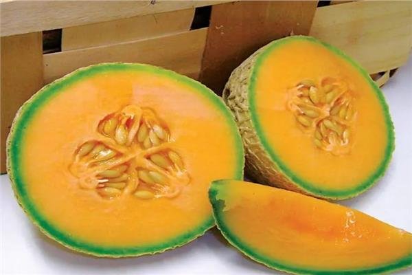 تقوية العظام والمناعة ودعم صحة العين .. فوائد تناول بذور فاكهة الشمام 
