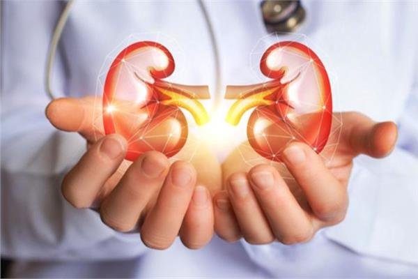 اختبارات الدم والبول تحدد علامات ضعف الكلى.. نصائح لتجنب الفشل الكلوي 
