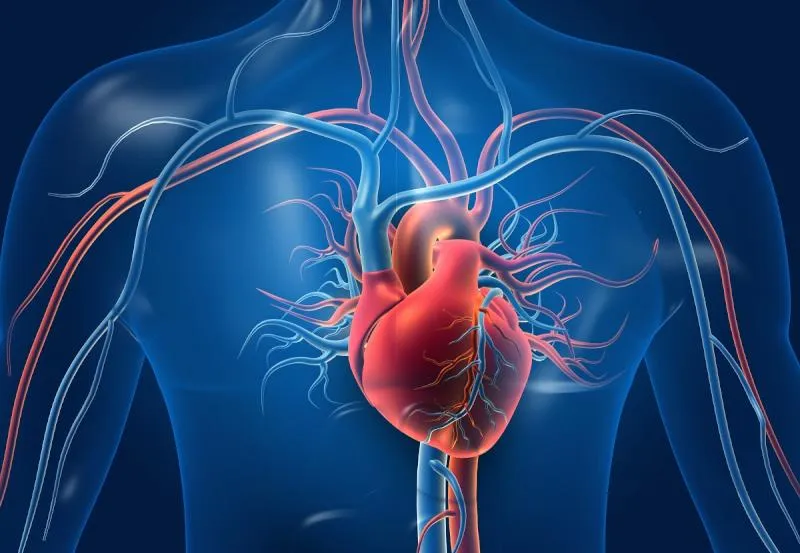 تسارع ضربات القلب.. الأسباب والأعراض وطرق العلاج 
