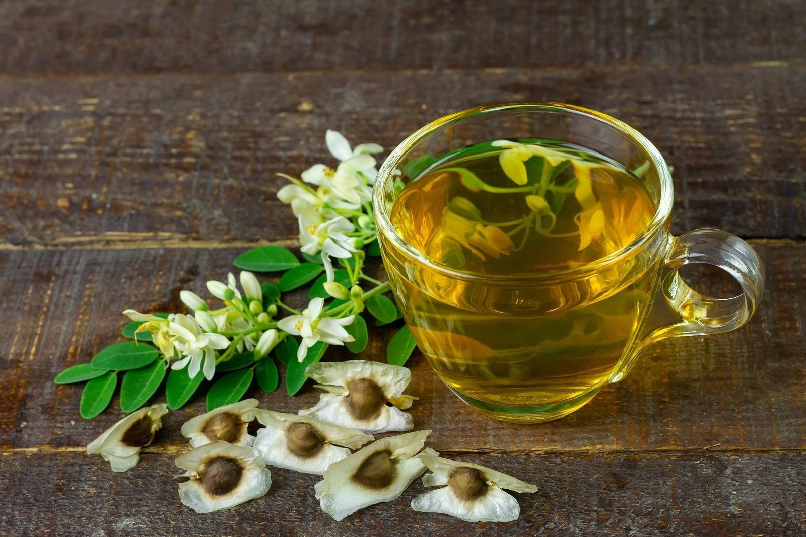 المورينجا تقلل من خطر ارتفاع ضغط الدم  والكوليسترول وإنقاص الوزن 