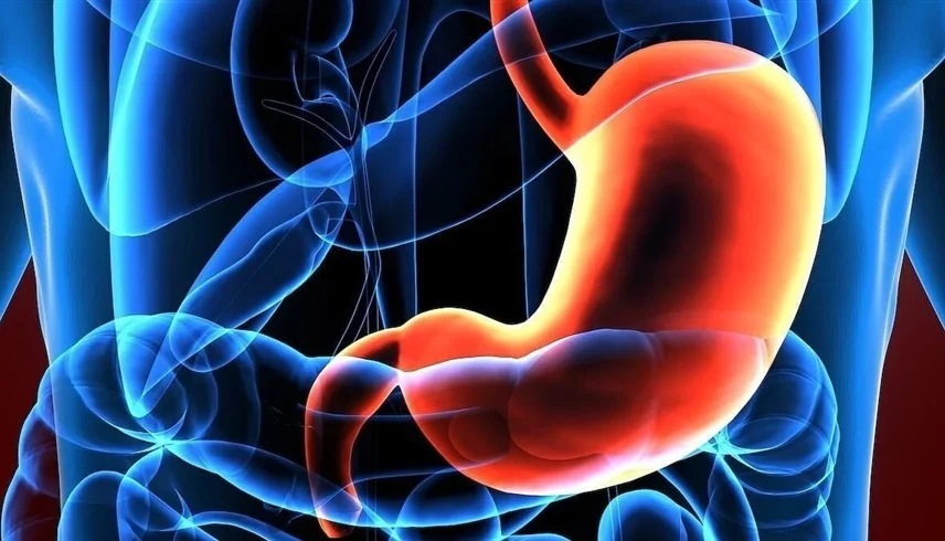 العلاج المناعي “دورفالوماب” يثبت فعاليته ضد سرطان المعدة 