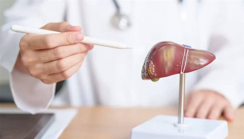 علماء يطوّرون علاجاً يُوقف تليف الكبد أو يعكس مساره 