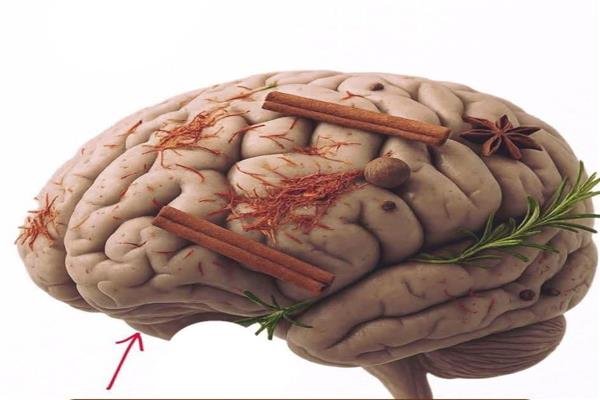 لحمايتك من الجلطة والموت .. احذر من الاستيقاظ المفاجئ 