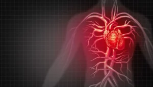هكذا تقلل تأثير الإجهاد الحراري على القلب