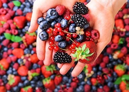 التوت يعزز الصحة عند التقدم في السن 
