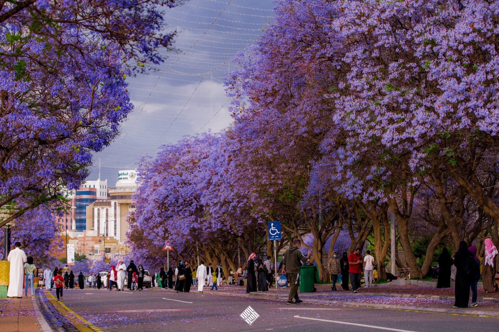 حملة “صيّف بصحة” تعزز الوعي الوقائي عبر فعاليات ميدانية في أبها 